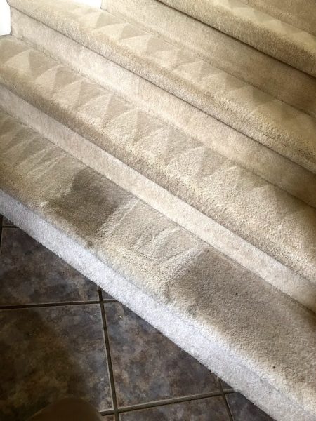 carpet cleaning in kent wa