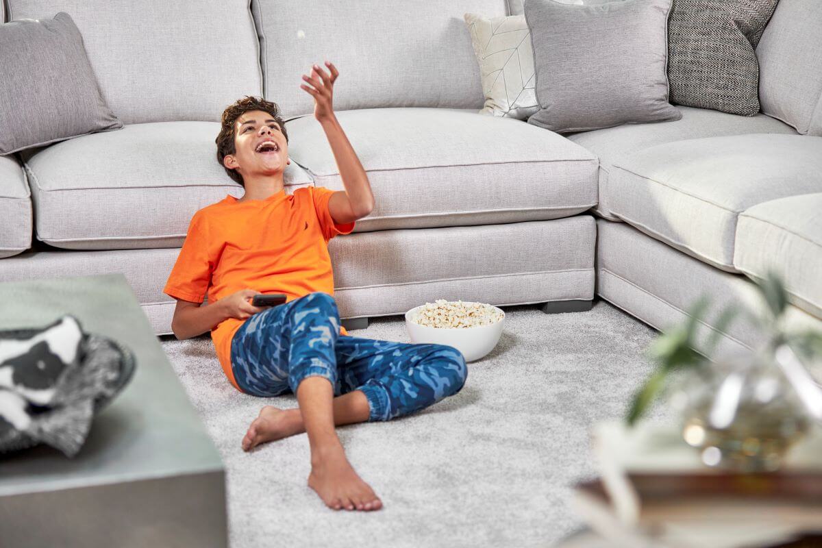 carpet cleaning in samammish wa