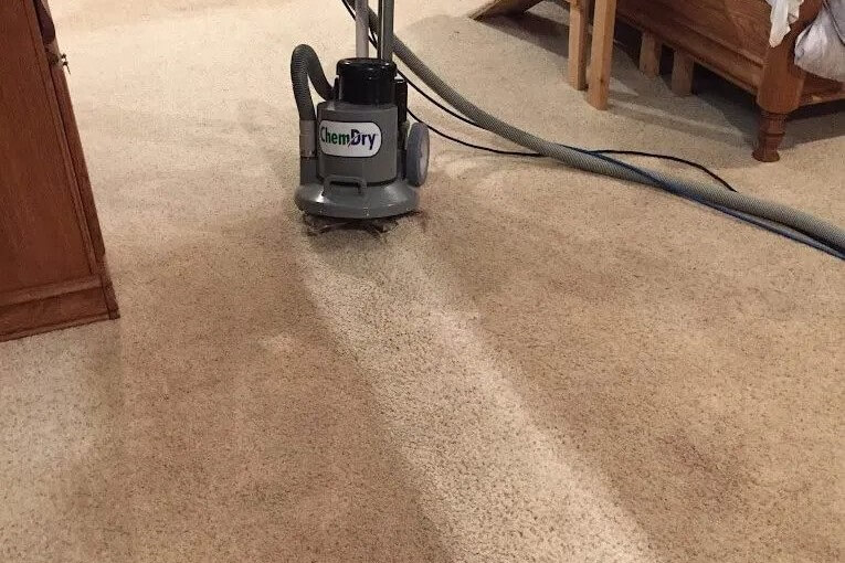 professional carpet cleaning kent wa