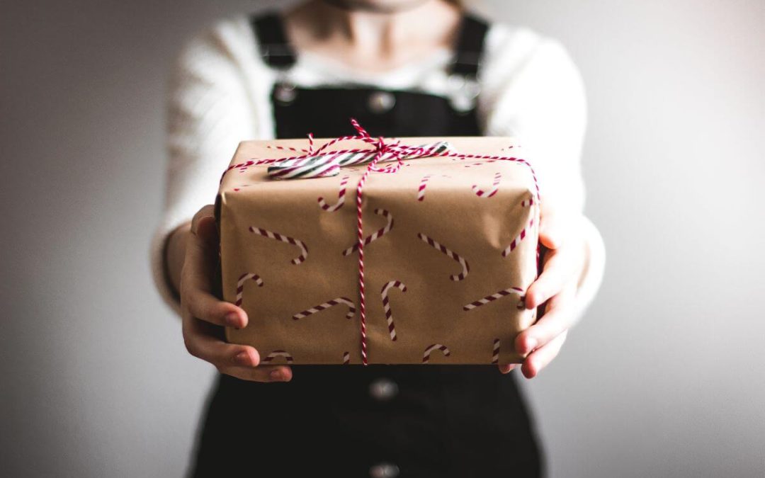 Give the Gift of a Clean Home this Christmas with Chem-Dry on the Plateau!