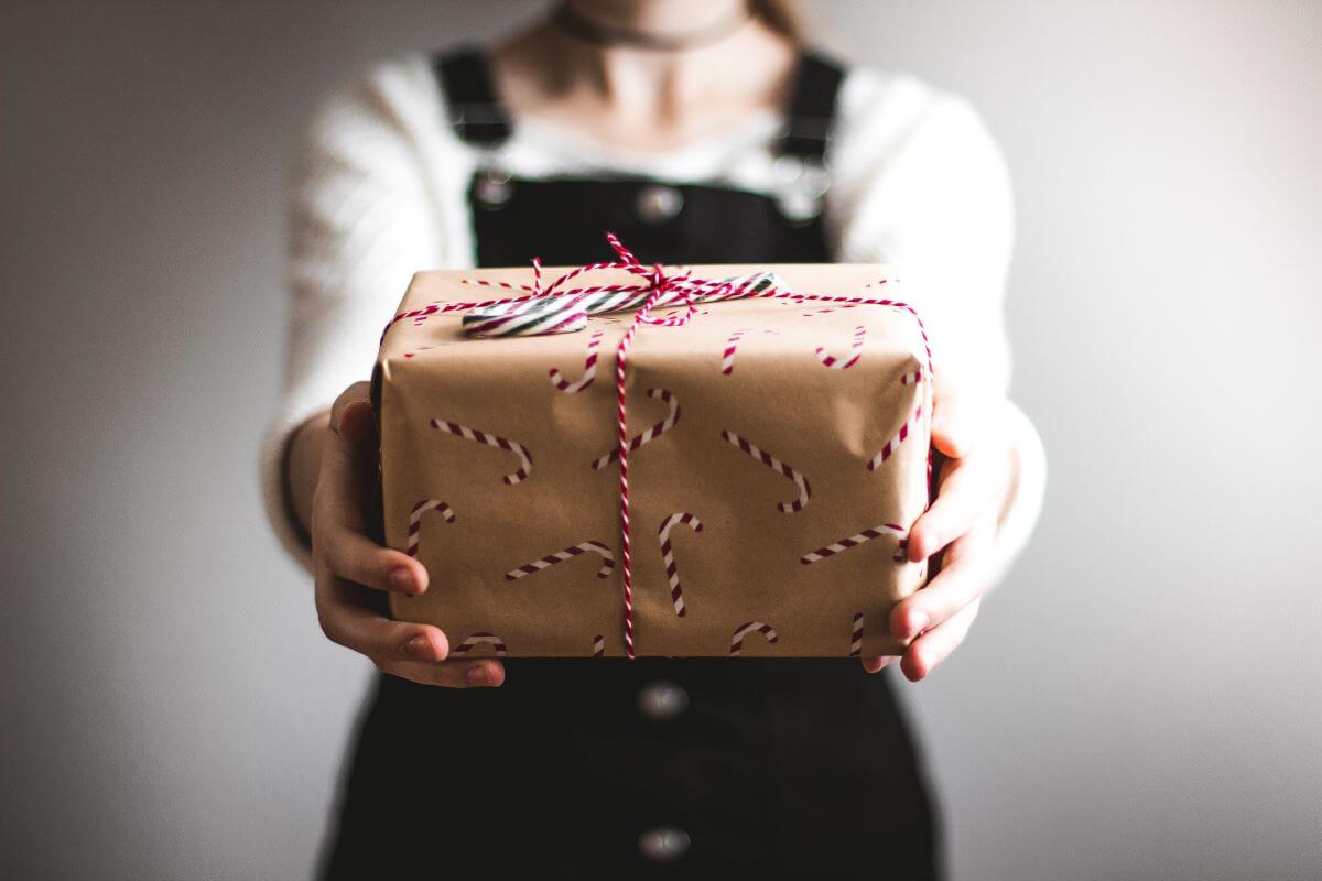 Give the Gift of a Clean Home this Christmas with Chem-Dry on the Plateau!