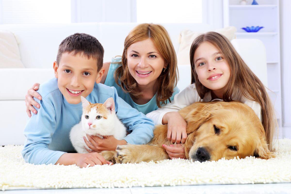 How to Remove Pet Odors For Good!